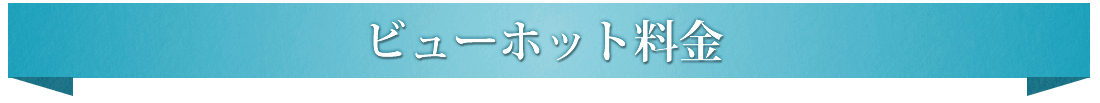 ビューホット料金